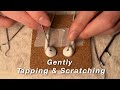 ASMR Gentle Tapping and Scratching on EarPods with Scalers(No Talking)