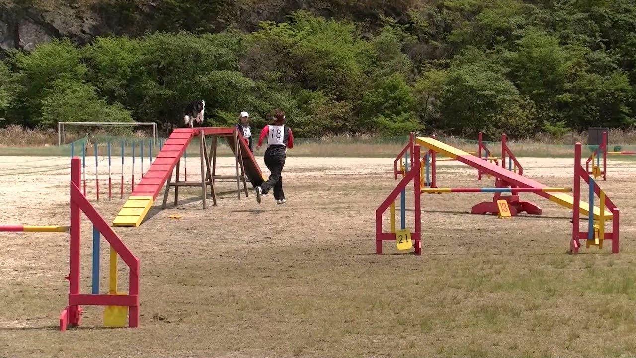 2013.4.21 Apex-compe / Zebra - YouTube