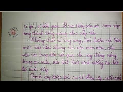 Video Dàn ý miêu tả cây xoài(tả từng bộ phận của cây)(Tập... - youtube