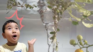 Whirlpool or Tornado? Fun Water Tornado story, Surprise eggs