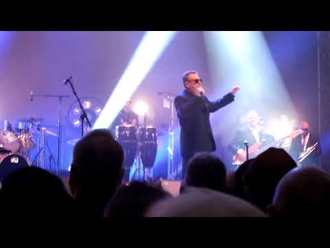MADNESS - They call it Madness