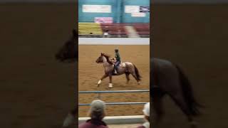 Cassi Reining in Wahset