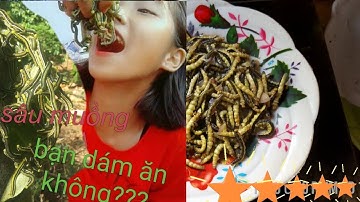 Đặc sản tây nguyên sâu muồng