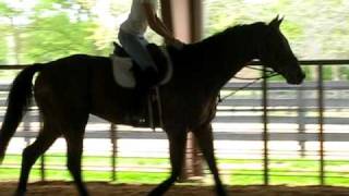 Cajun Video.avi