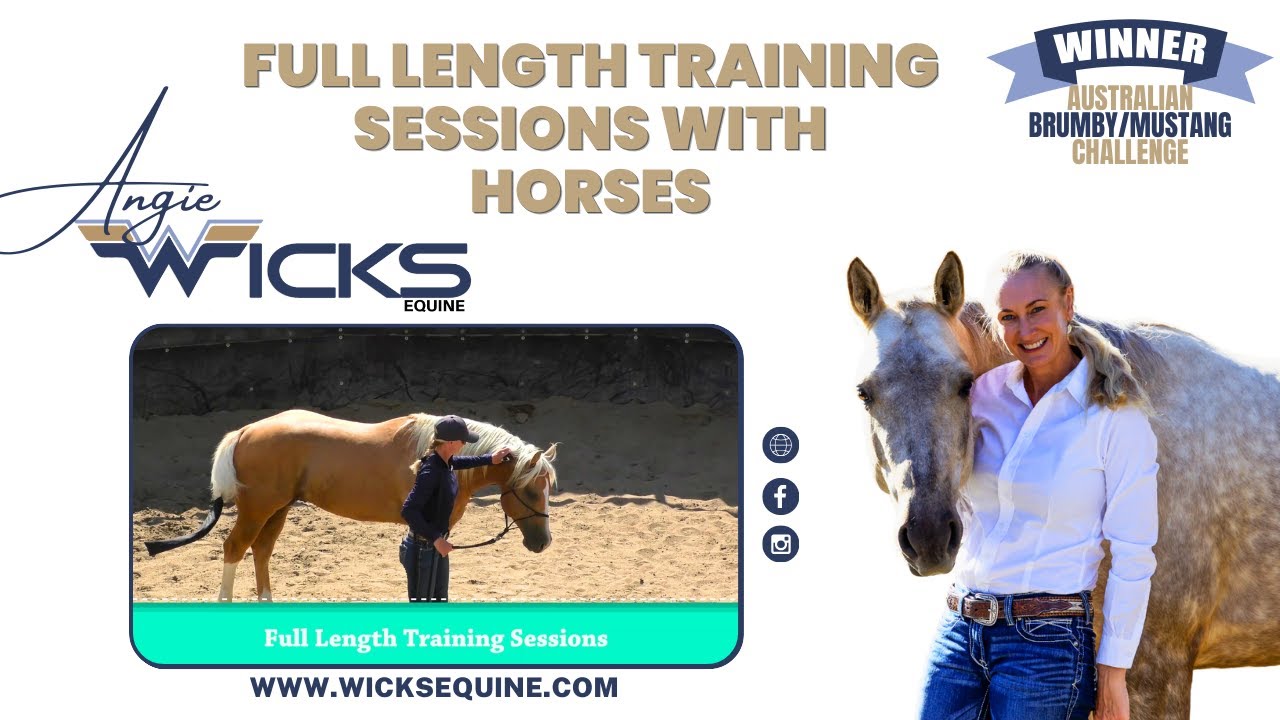 Full Length Training Sessions with Horses - Angie Wicks