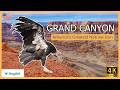 Grand Canyon - The Untold Story of America’s Greatest Natural Icon | Documentary 4K