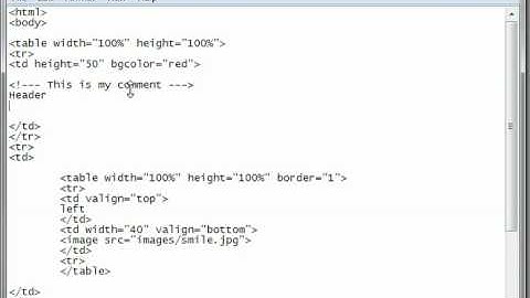 HTML Tutorial 14 - Comments