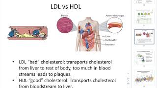 CHEM205 CH8 Part3