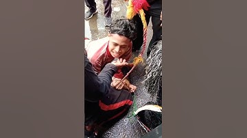 kesurupan makan menyan #kesurupan #reog #jarankepang #singobarongsambeng #shorts #viral