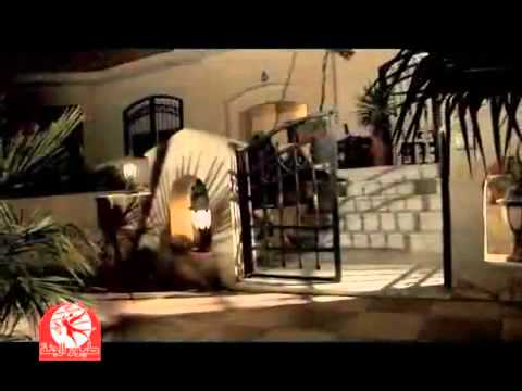 طيور الجنة اشتقناله عمر الصعيدي بدون إيقاع Flv