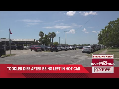 22-month-old dies after being left in hot car - YouTube