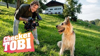 Der FilmtierCheck | Reportage für Kinder | Checker Tobi