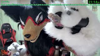 【Fursuit/獣化#154】水曜のもふもふタイム🐶🐾【ジュージュー/JuuJuu】#fursuit #獣化 #live