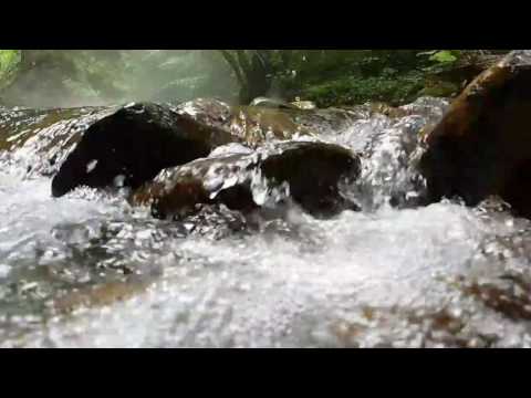 რაჭა კრიხულა