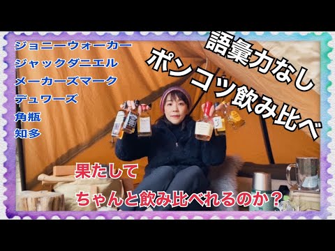 【ソロキャンプ】素人の飲み比べ