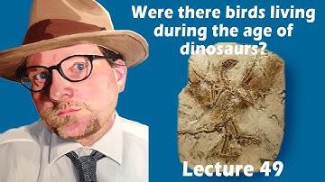 Were there birds living during the age of dinosaurs?