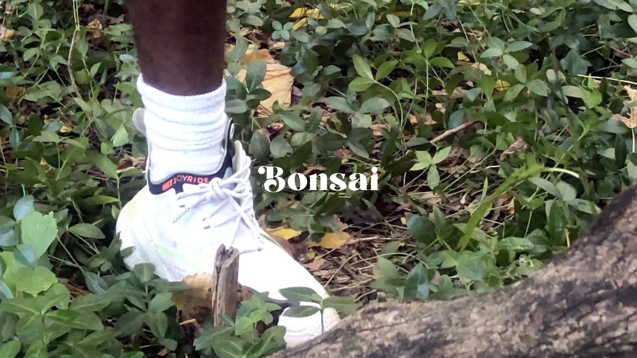 Bonsai: An Interpretive Film