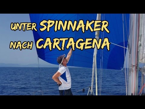 ⁣Unter Spinnaker mit Grindwalen unter dem Trampolin nach Cartagena - Segeln auf Langfahrt.