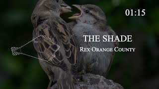 Rex Orange County - THE SHADE