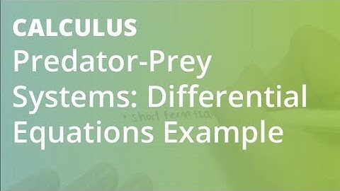 Predator-Prey Systems: Differential Equations Example 2