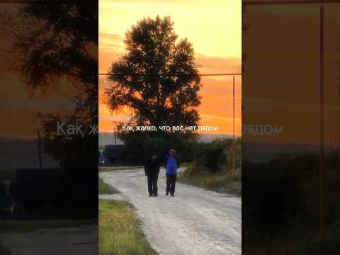 Как жалко, что вас нет рядом #деревня #дом #детство #бабушка #печка #баня #русскаядеревня