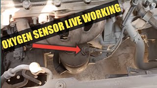 How OXYGEN Sensor Works? |With Live Data | Improve Your Average