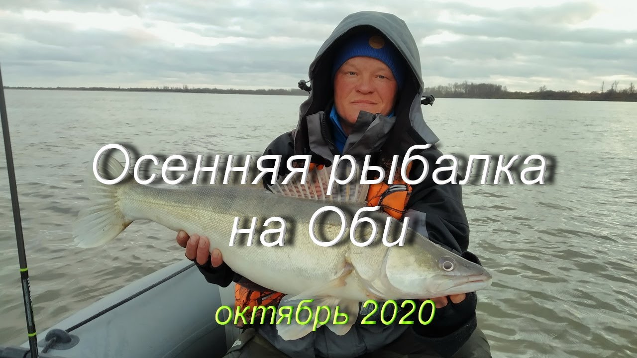 Осенняя рыбалка на Оби 2020