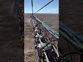 Tarımsal Teknoloji | Trimble | WeedSeeker Yabancı Ot Kontrol Uygulaması