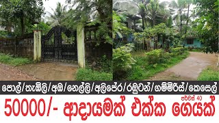 මාසෙට පනස්දහසක ආදායමක් ලබන සුපිරි ගෙයක් ?? | Low Budget Land Sale in Sri Lanka | @Ape Sudu Malli