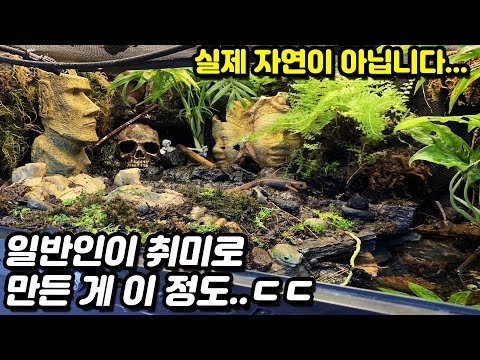 덕후가 만든 <strong>비바리움</strong> 클라스..ㄷㄷ 방 안에 이렇게 두고 동물을 키운다고??