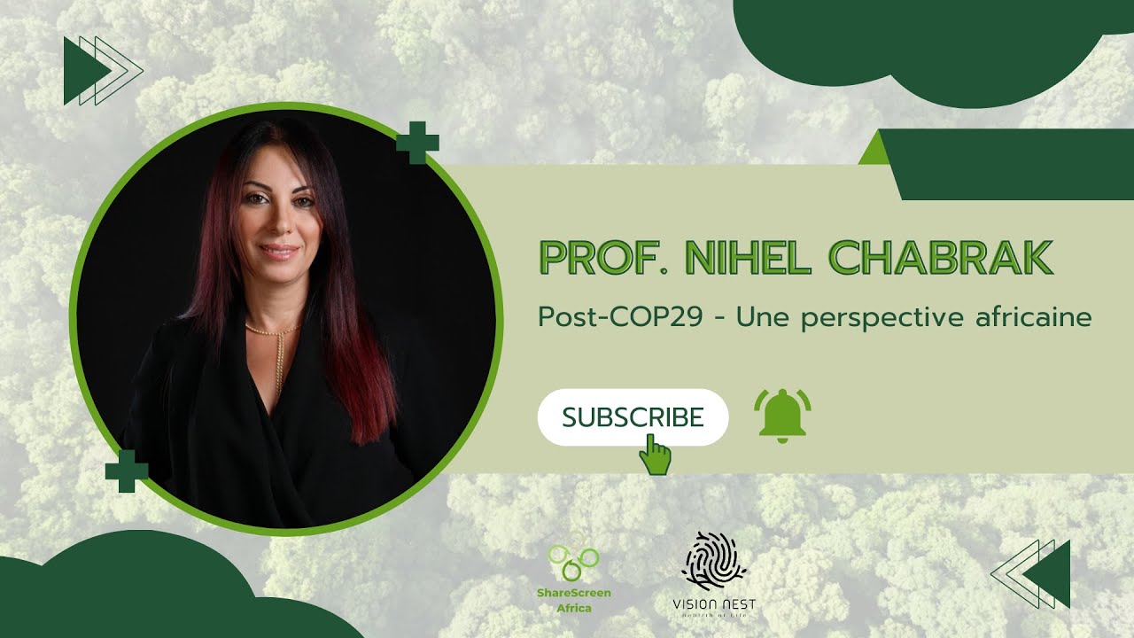Post-COP29 : Une nouvelle ère pour le financement climatique et les marchés du carbone | Prof. Nihel