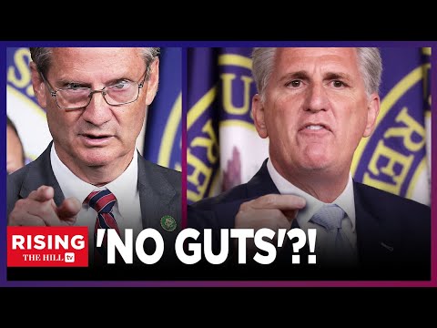 Did Kevin McCarthy PUNCH Tim Burchett in the Halls Of CONGRESS?!: Rising Reacts