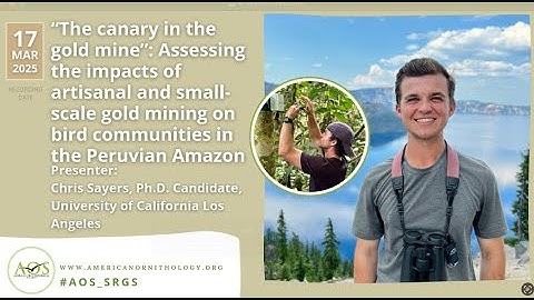 Assessing the impacts of artisanal & small-scale gold mining on bird communities in Peruvian Amazon