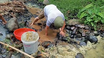 Ngăn suối bắt cá khủng. Điều bất ngờ đến từ phút thứ 9p45