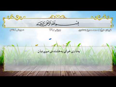 محمد صديق المنشاوي الجزء التاسع والعشرون