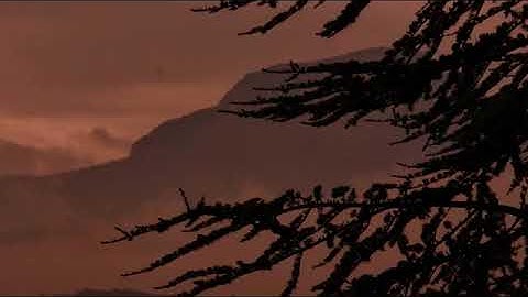 سورة فاطر بصوت القارئ حاتم المالكي