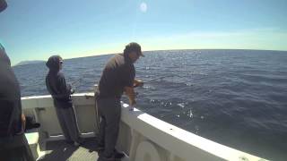 FishBermi Bermagui Fishing Charters