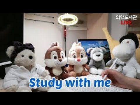 [34살의대수능도전] STUDY WITH ME(의도학당) D-1 | ASMR FIREWOOD