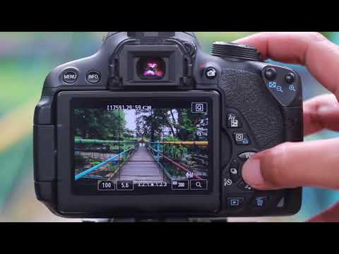 Video: Kamera DSLR Canon (36 Foto): 