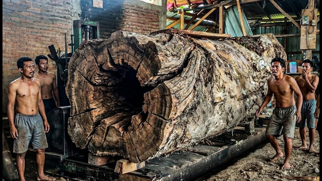 WHAT A SURPRISE!! Giant Trembesi Wood Nearly Causes Disaster at the ...