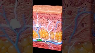 What really happens when u take cold showers#ai #facts #viralshort #shorts