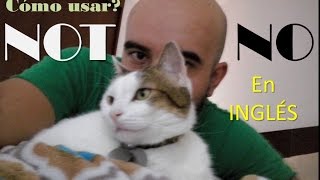 How to use NO & NOT in English