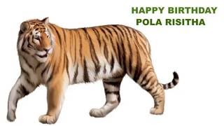 PolaRisitha   Animals & Animales - Happy Birthday
