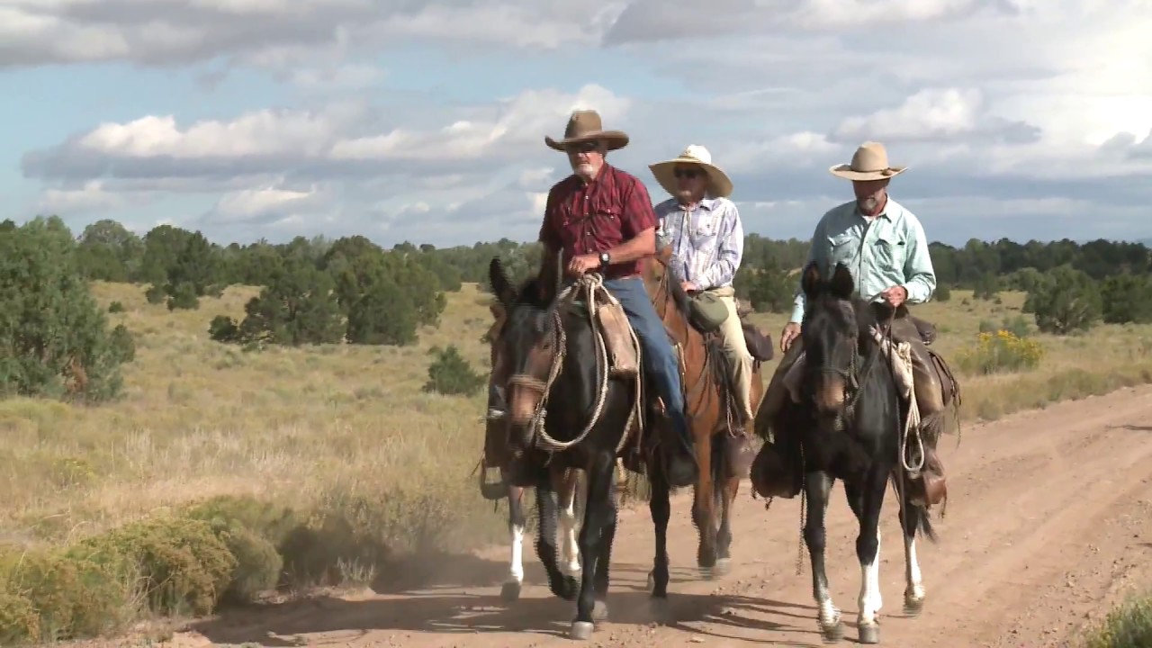 Trailer_The Old Spanish Trail YouTube