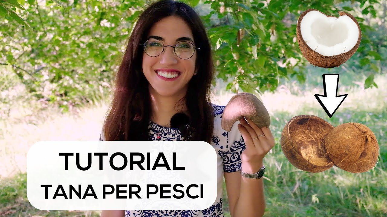Tana per pesci d'acquario con noce di cocco