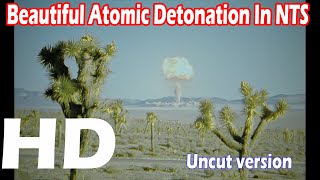 Operation Buster Jangle Easy Detonation