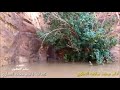 هجيني بني عطيه