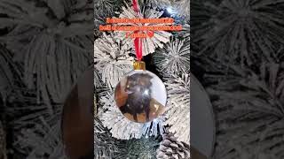 Download Lagu Sempre nel ❤️ #animals #love #caniegatti #semprenel❤️ MP3