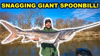 Snagging GIANT Prehistoric SPOONBILL Fish!!! (Catch Clean Cook)