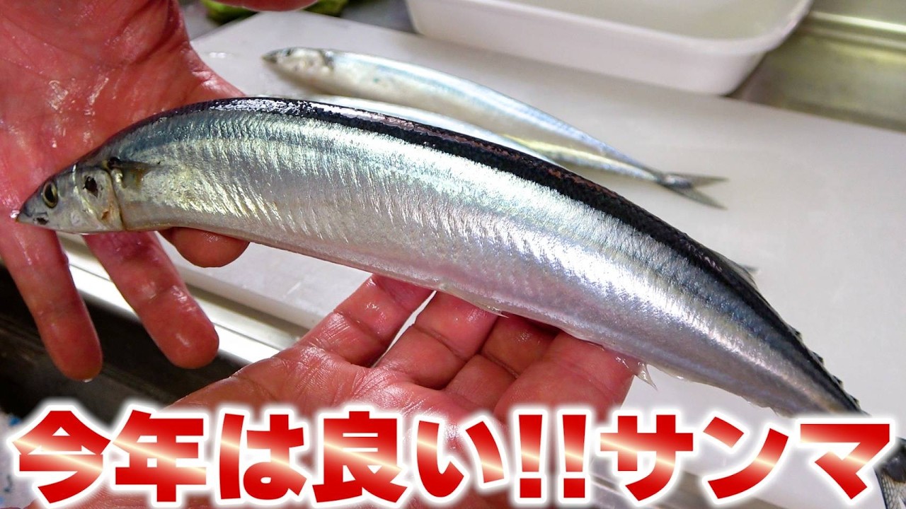 【豊漁】今年の秋刀魚は皆さん、もう食べましたか？
